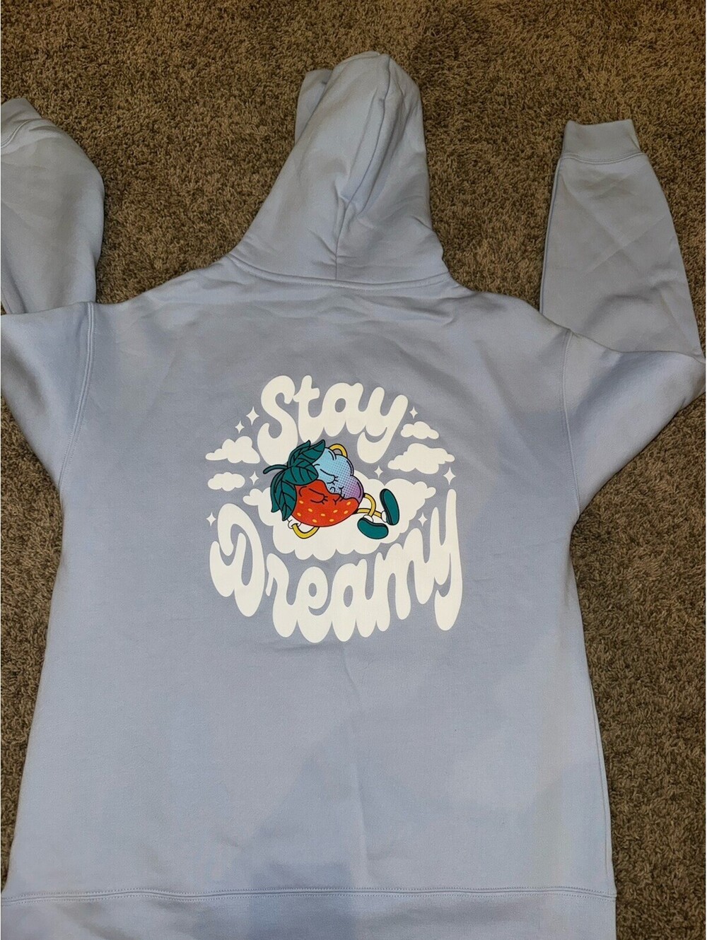 NEW Prophecy Print Co SOUR STRIPS puff print Graphic hoodie. Large. Blue. NWOT